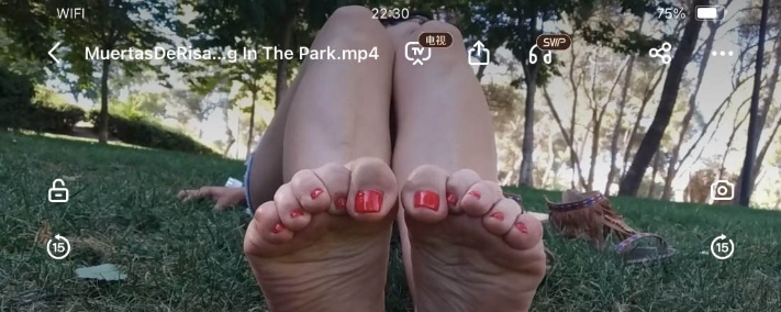 微信截图_20240515150127.png