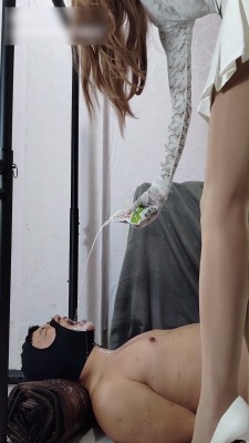 101320qujcykkzfopkbkt6.jpg