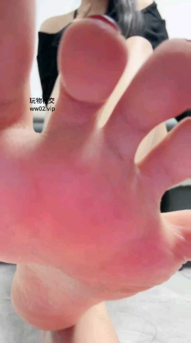 1730104517850.jpg
