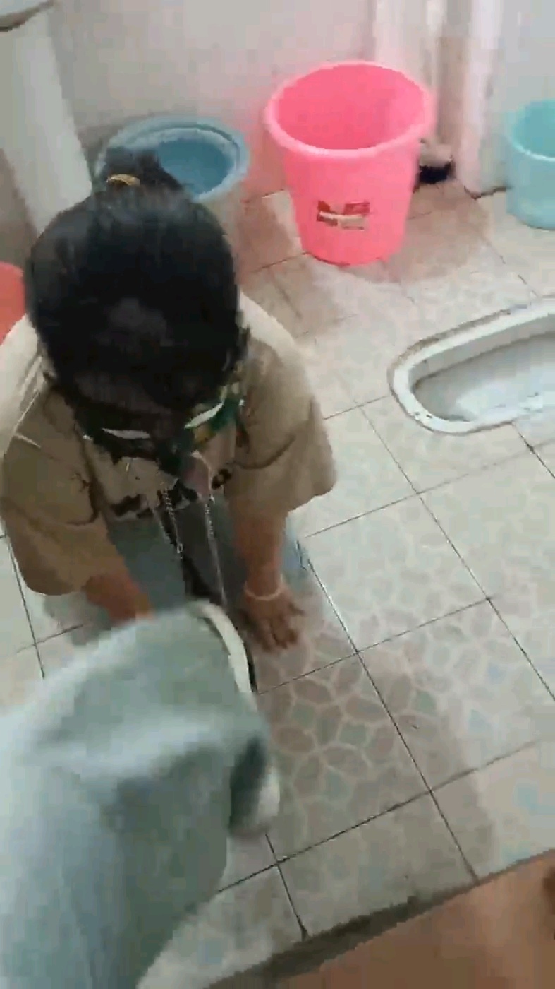 1730460227892.jpg
