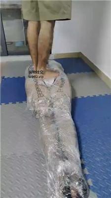 001425eaaarznx715vvp13.jpg