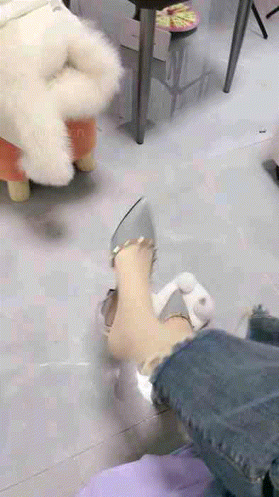 1744858072345.gif