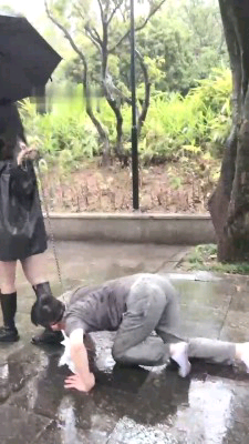 f91d14f69053c399c1b25d2b11ff1289.jpg