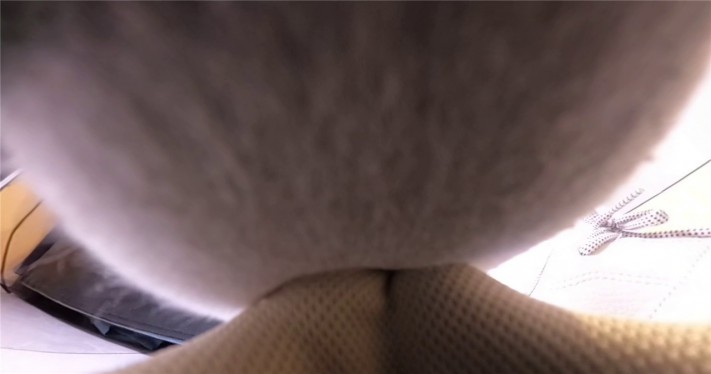 9 (30).jpg