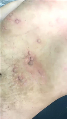 麋鹿银儿_20250708101701.JPG