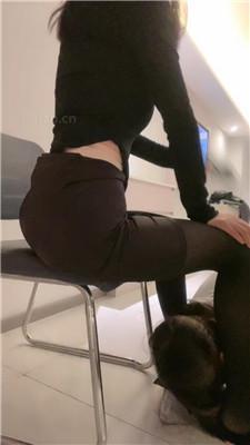 005833dmjjlflxilmjzd91.jpg