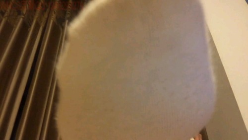 1757396210749.jpg