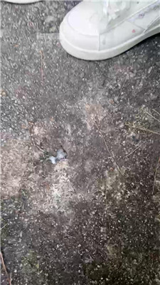 2510271811_20251027181326.JPG