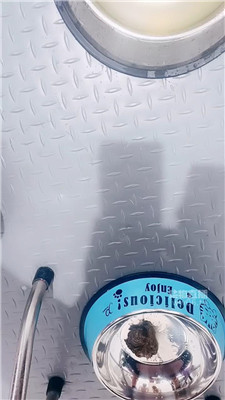 2511181503_20251118151058.JPG