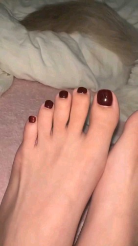 ab334ce87e7ab80d5d0ae8dee205bcf3.jpg
