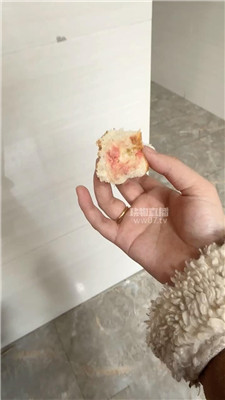 1 (4).JPG