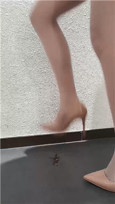 2511280553_20251128061137.JPG