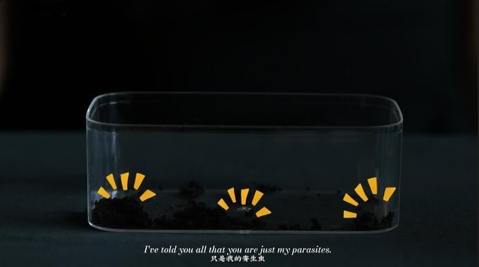 6 (23).jpg