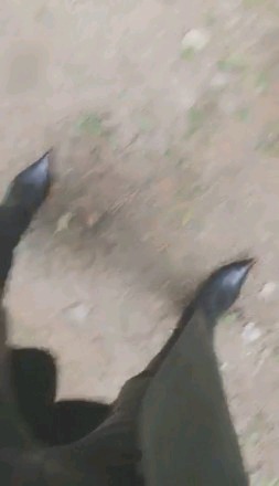 1f58d525c69d5b239f3d88e39d5ade7c.jpg