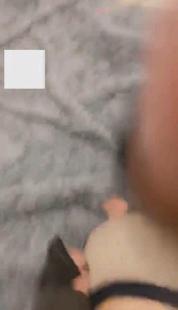 c5d419af64644f080ceac94e33ad11aa.jpg