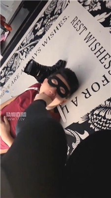 小猫 (12).JPG