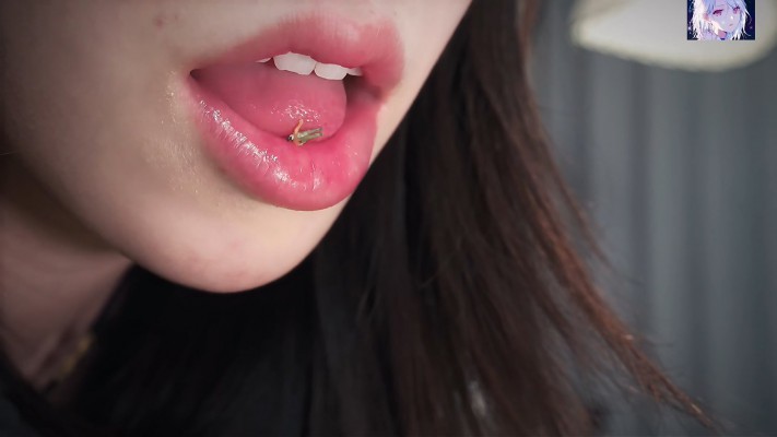 6 (42).jpg