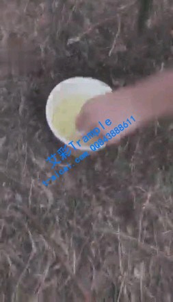 4c75912ffc3f14d3be5e5205aa73c76f.jpg