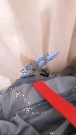 69bcb8f2f0569f1a4e2d1bebb50d81ee.jpg