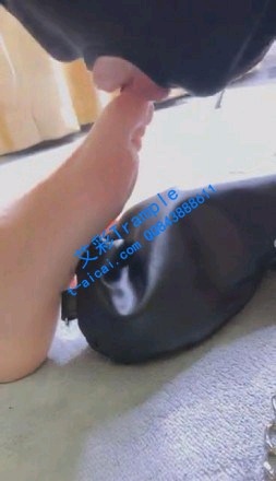 6882e402299e31bc28c25ee88149897f.jpg