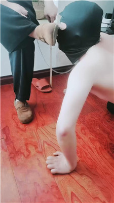 2603061933_20260306194553.JPG