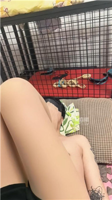 f_20260318220505.JPG