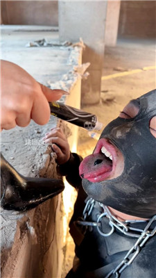 2603201917_20260320192109.JPG
