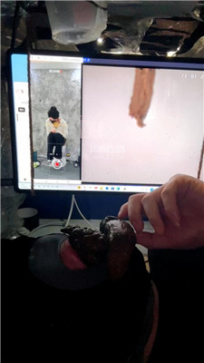 2604041545_20260404154616.JPG