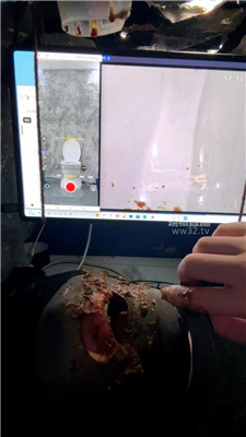 2604041545_20260404154643.JPG