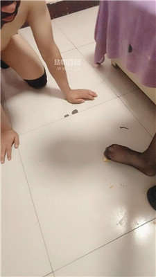 l_20260512185455.JPG