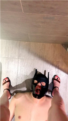 2605161734_20260516173512.JPG