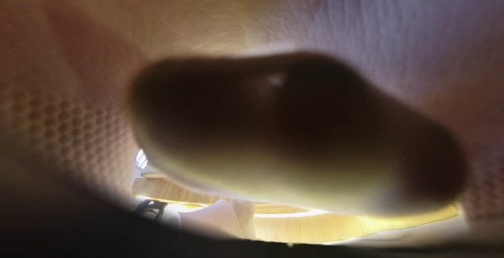 2 (22).jpg
