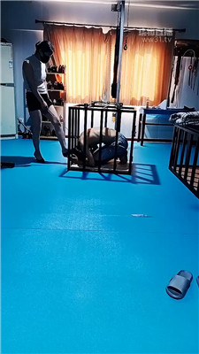 qyan_20260523171959.JPG