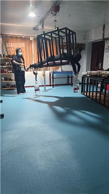 青云_20260528145954.JPG