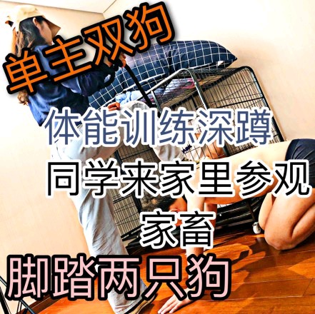 5608142db7eab51ecc1f14fb7afa3ebf.jpg