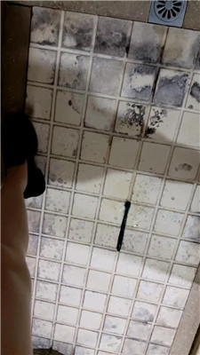 2607210859_20260721191545.JPG