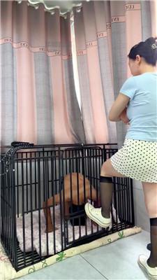 181126ku3ho33wgb31l35w.jpg