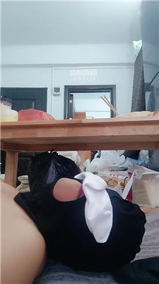room_474880_20260817121706.JPG