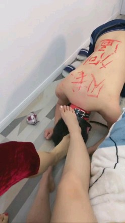 8d5af1f6981f7c13911dce7066a6433b.jpg
