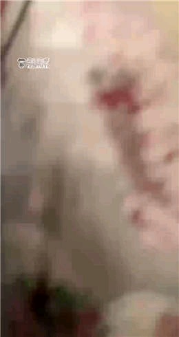 da72373ff19267a22fd28e4d91b54cf3.jpg