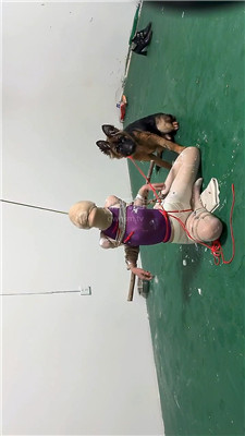 2609162027_20260916202822.JPG