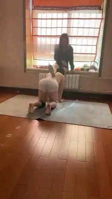 唯雅S人形犬