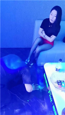 汐S2359